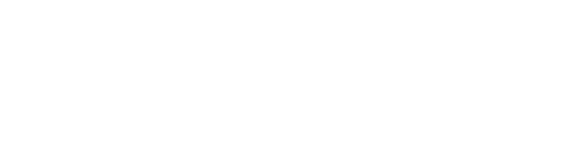 Logo OSI blanc